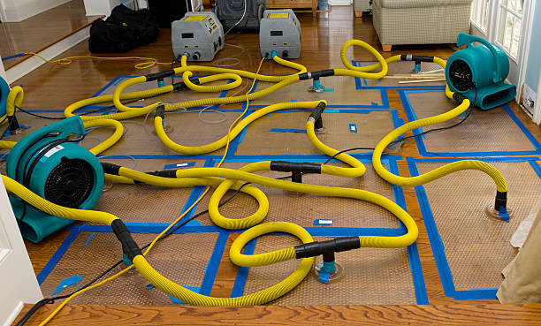 Professional Crawl Space Water Removal technician working in Adamsville, PA